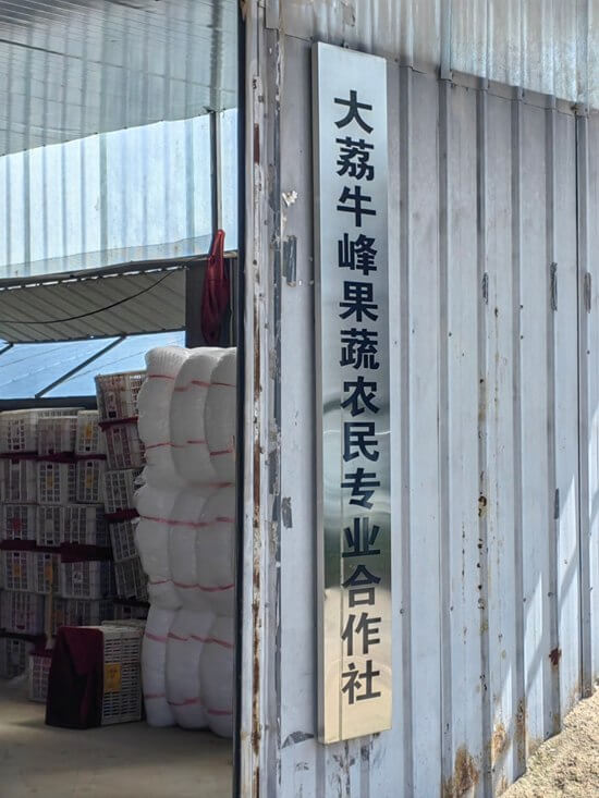 圖片3